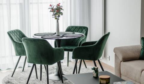 Mieten 2-Zimmer-Wohnung, 2-Zimmer-Wohnung, Pribinova, Bratislava - Nov