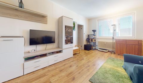 Kaufen 4-Zimmer-Wohnung, 4-Zimmer-Wohnung, Opatovská, Trenčín, Slowake