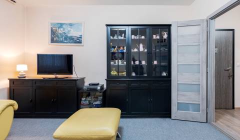 Kaufen 4-Zimmer-Wohnung, 4-Zimmer-Wohnung, Vyšehradská, Bratislava - P