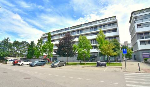 Kaufen 3-Zimmer-Wohnung, 3-Zimmer-Wohnung, Pri vinohradoch, Bratislava