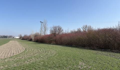 Kaufen Baugrund, Baugrund, Komárno, Slowakei