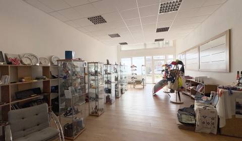 Mieten Geschäftsräumlichkeiten, Geschäftsräumlichkeiten, Hattalova, Br