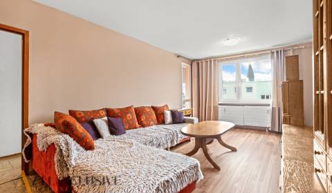 Kaufen 4-Zimmer-Wohnung, 4-Zimmer-Wohnung, Radničné námestie, Dunajská