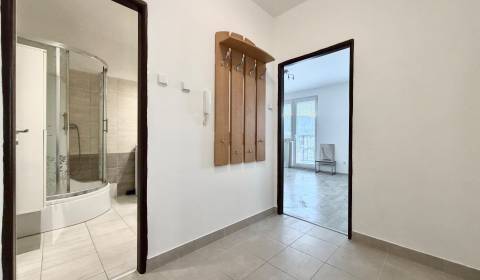 Mieten 1-Zimmer-Wohnung, 1-Zimmer-Wohnung, Pred poľom, Trenčín, Slowak