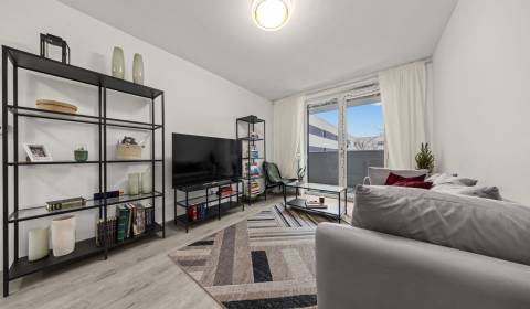 Kaufen 3-Zimmer-Wohnung, 3-Zimmer-Wohnung, Závodu Matador, Bratislava 