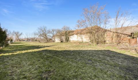 Kaufen Garten, Garten, Šaľa, Slowakei