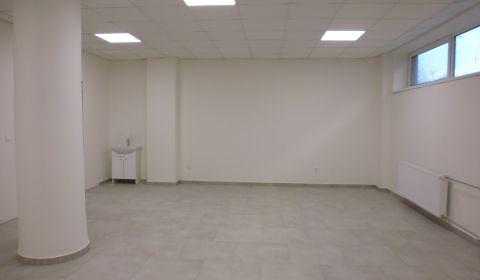 Mieten Geschäftsräumlichkeiten, Geschäftsräumlichkeiten, Masarykova, P