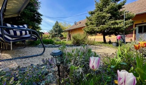Kaufen Einfamilienhaus, Einfamilienhaus, Levice, Slowakei
