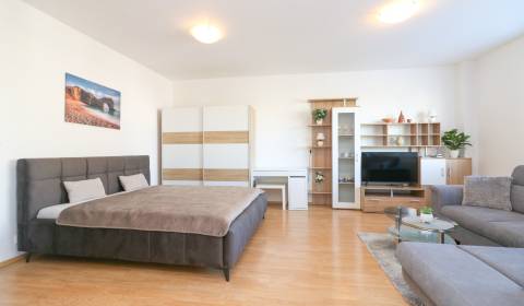 Mieten 1-Zimmer-Wohnung, 1-Zimmer-Wohnung, Ďatelinová, Bratislava - Ru