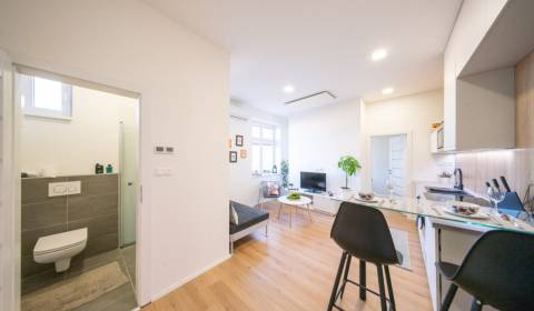 Mieten 2-Zimmer-Wohnung, 2-Zimmer-Wohnung, Beskydská, Bratislava - Sta