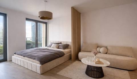 Mieten 1-Zimmer-Wohnung, 1-Zimmer-Wohnung, Bottova, Bratislava - Staré