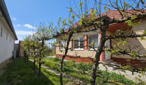Kaufen Einfamilienhaus, Einfamilienhaus, Trnava, Slowakei