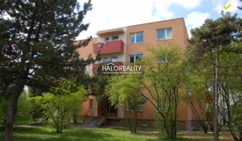 Kaufen 4-Zimmer-Wohnung, Dunajská Streda, Slowakei