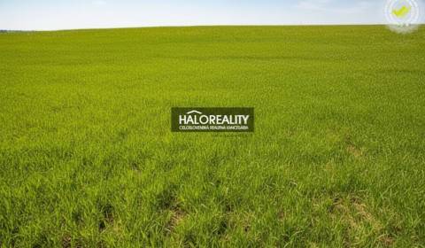 Kaufen Baugrund, Nové Mesto nad Váhom, Slowakei