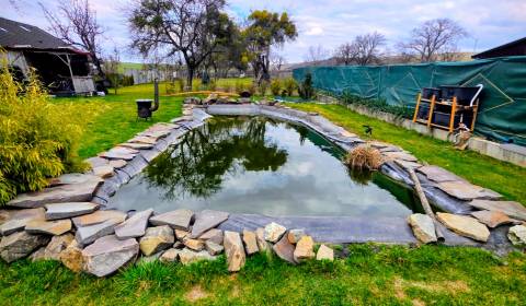 Kaufen Einfamilienhaus, Einfamilienhaus, Družstevná, Košice-okolie, Sl