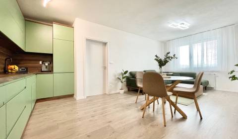 Mieten 2-Zimmer-Wohnung, 2-Zimmer-Wohnung, Na pažiti, Trenčín, Slowake