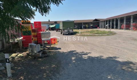 Kaufen Ferienhaus, Ferienhaus, Malacky, Slowakei