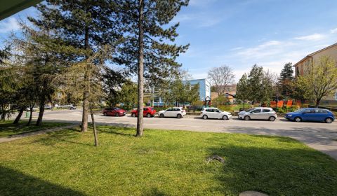 Kaufen 1-Zimmer-Wohnung, 1-Zimmer-Wohnung, Pezinok, Slowakei