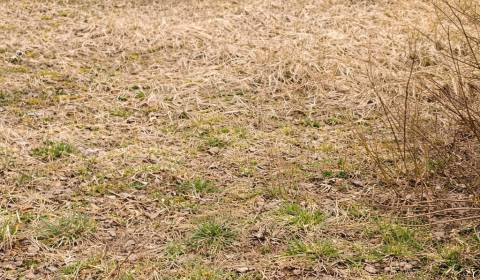 Kaufen Baugrund, Baugrund, Čadca, Slowakei