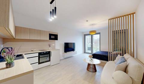 Mieten 1-Zimmer-Wohnung, 1-Zimmer-Wohnung, Bottova, Bratislava - Staré