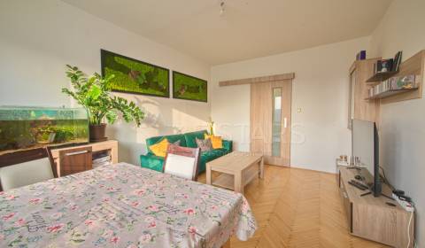 Kaufen 3-Zimmer-Wohnung, 3-Zimmer-Wohnung, Trenčianska, Ilava, Slowake