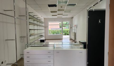 Mieten Geschäftsräumlichkeiten, Geschäftsräumlichkeiten, Hviezdoslavov