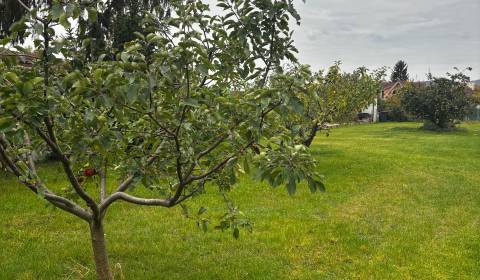 Kaufen Baugrund, Baugrund, Kupeckého, Pezinok, Slowakei