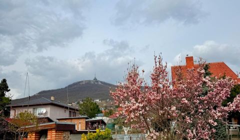 Kaufen Einfamilienhaus, Einfamilienhaus, Metodova, Nitra, Slowakei