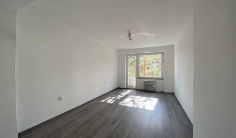 Kaufen 2-Zimmer-Wohnung, 2-Zimmer-Wohnung, Školská, Dunajská Streda, S