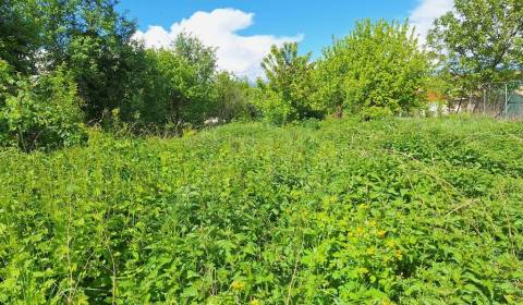 Kaufen Garten, Garten, Nové Zámky, Slowakei