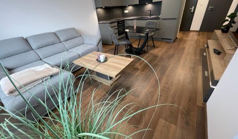 Mieten 2-Zimmer-Wohnung, 2-Zimmer-Wohnung, Novomestská, Trnava, Slowak