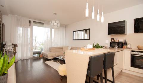 Kaufen 2-Zimmer-Wohnung, 2-Zimmer-Wohnung, Na pažiti, Bratislava - Nov