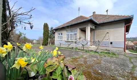 Kaufen Einfamilienhaus, Einfamilienhaus, Nové Zámky, Slowakei
