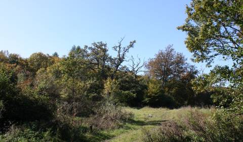 Kaufen landwirtsch. Grundstücke, landwirtsch. Grundstücke, Bánovce nad