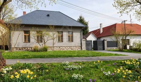Kaufen Einfamilienhaus, Einfamilienhaus, Levice, Slowakei