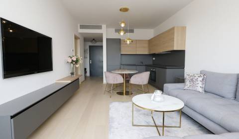 Kaufen 2-Zimmer-Wohnung, 2-Zimmer-Wohnung, Čulenova, Bratislava - Star