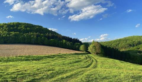 Kaufen landwirtsch. Grundstücke, landwirtsch. Grundstücke, Púchov, Slo