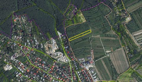 Kaufen Weinberg, Weinberg, Fongová, Bratislava - Rača, Slowakei