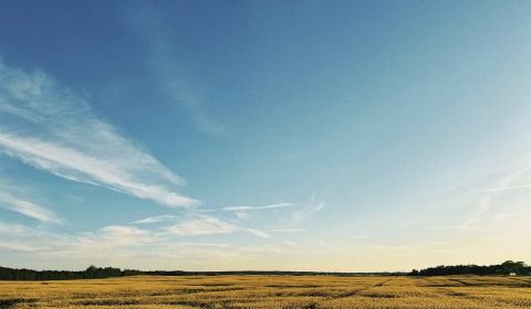 Kaufen landwirtsch. Grundstücke, landwirtsch. Grundstücke, Pezinok, Sl