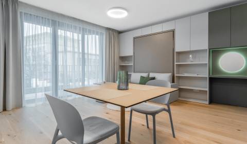 Mieten 1-Zimmer-Wohnung, 1-Zimmer-Wohnung, Košická, Bratislava - Ružin