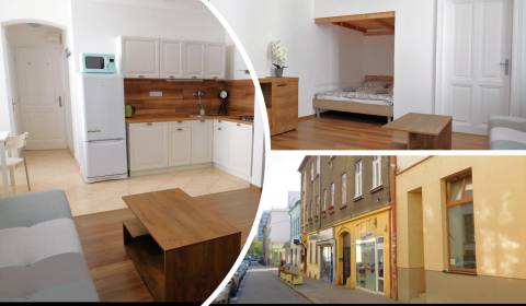 Kaufen 1-Zimmer-Wohnung, 1-Zimmer-Wohnung, Mariánska, Bratislava - Sta