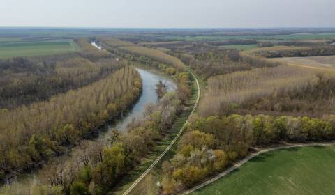 Kaufen landwirtsch. Grundstücke, landwirtsch. Grundstücke, Galanta, Sl