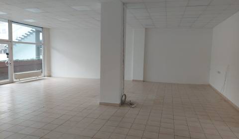 Mieten Geschäftsräumlichkeiten, Geschäftsräumlichkeiten, Hálkova, Brat
