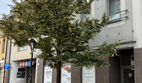 Kaufen 1-Zimmer-Wohnung, 1-Zimmer-Wohnung, Hornopotočná, Trnava, Slowa