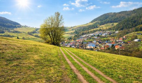 Kaufen landwirtsch. Grundstücke, landwirtsch. Grundstücke, Kotrčiná Lú