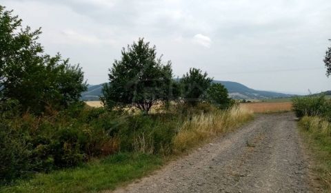 Kaufen landwirtsch. Grundstücke, landwirtsch. Grundstücke, Bardejov, S