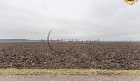Kaufen landwirtsch. Grundstücke, landwirtsch. Grundstücke, Dolná, Mala