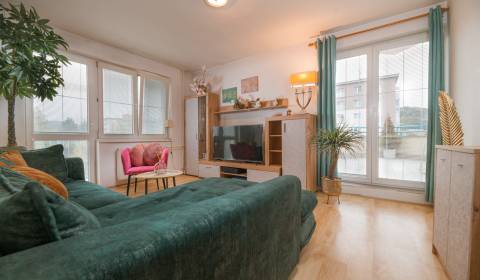 Kaufen 2-Zimmer-Wohnung, 2-Zimmer-Wohnung, Petra Jilemnického, Ilava, 
