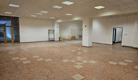 Kaufen Geschäftsräumlichkeiten, Geschäftsräumlichkeiten, Dunajská Stre