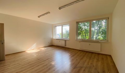 Mieten Büros, Büros, Priemyselná, Michalovce, Slowakei